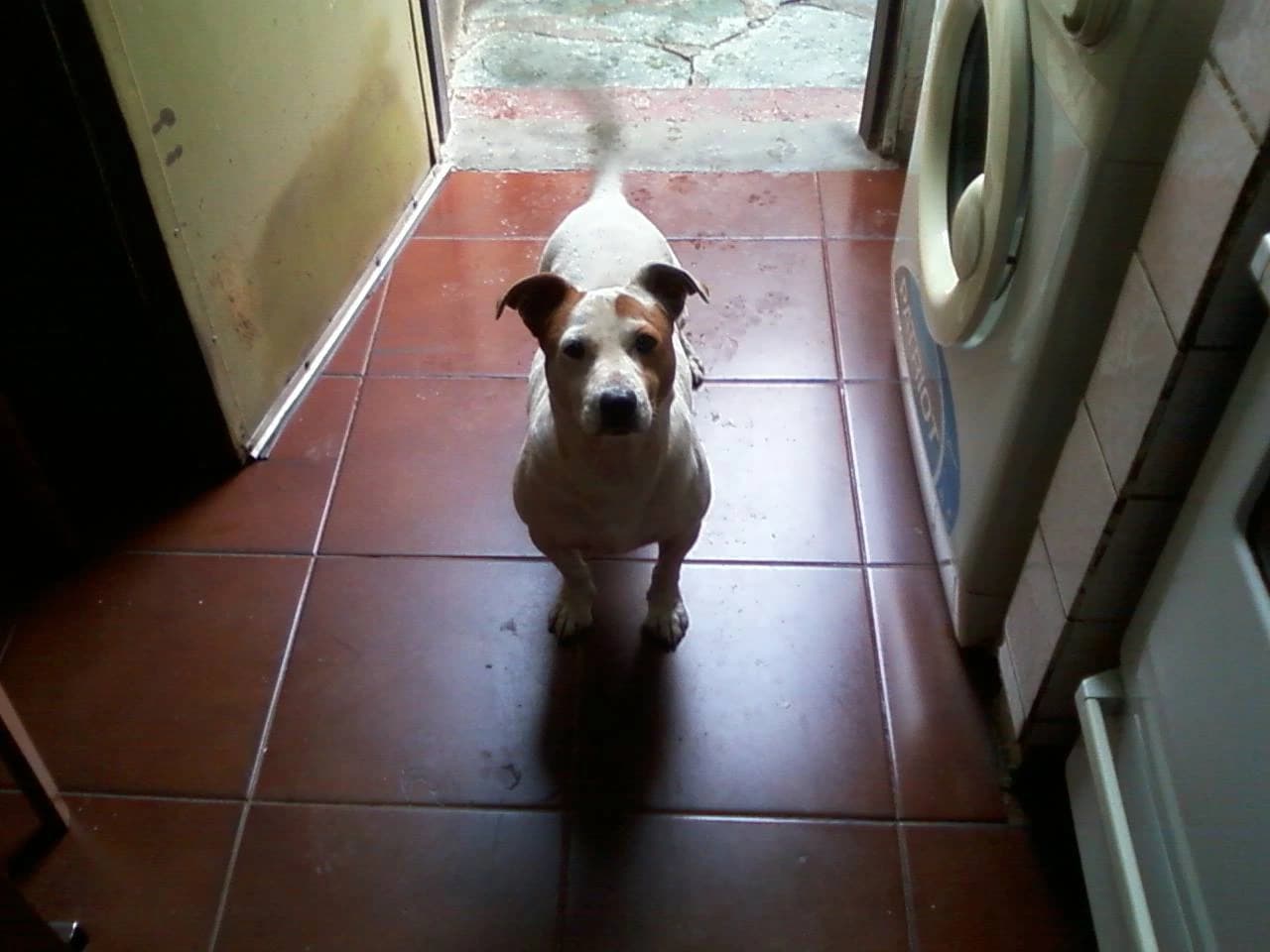 Mi primer mejor amigo